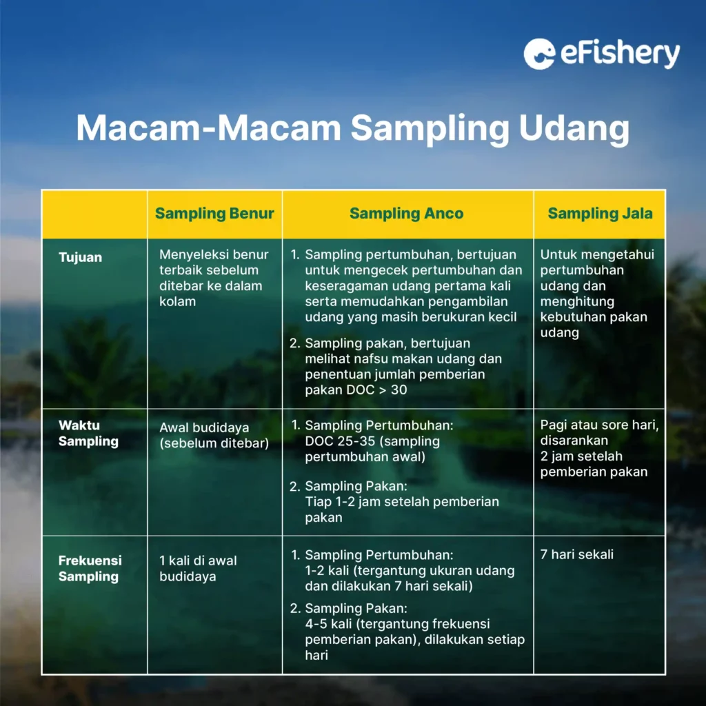 macam macam sampling udang