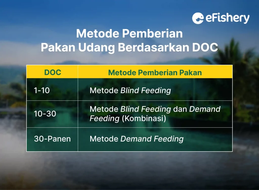 metode pemberian pakan udang berdasarkan doc