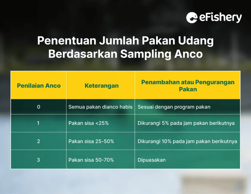 penentuan jumlah pakan berdasarkan sampling anco