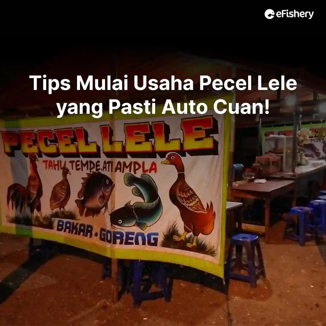 usaha pecel lele