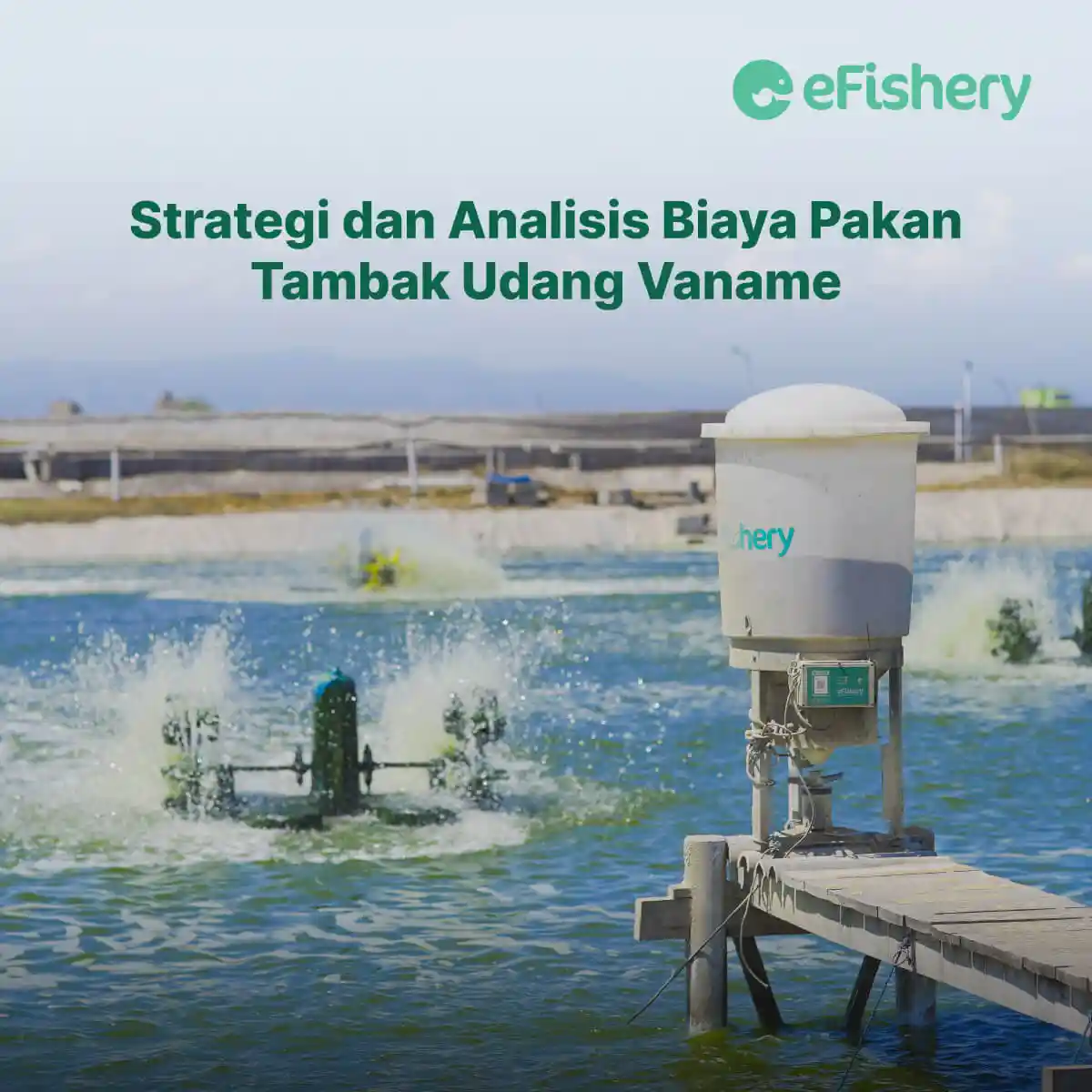 strategi dan analisis biaya pakan tambak udang vaname