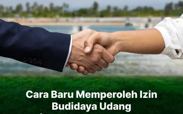 cara baru mendapatkan izin budidaya udang (siup tambak udang)