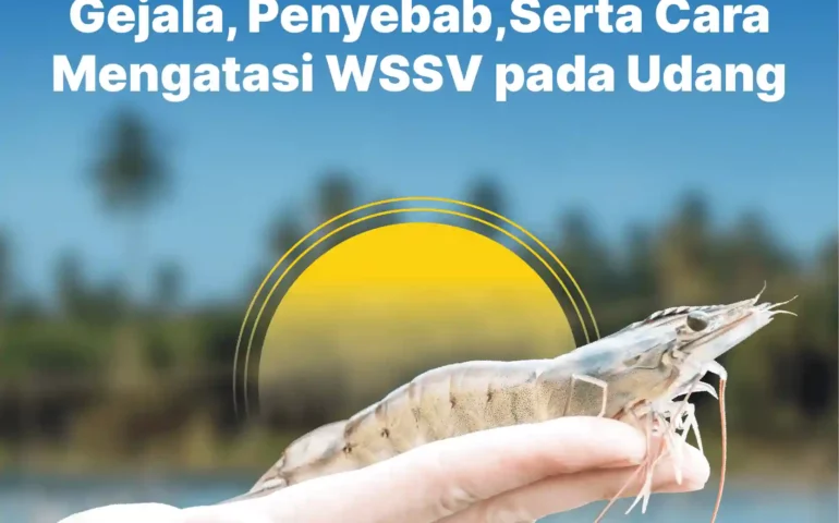 gejala, penyebab, serta cara mengatasi wssv pada udang