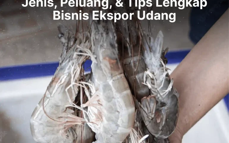 jenis peluang dan tips lengkap bisnis ekspor udang