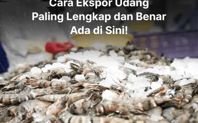 cara ekspor udang