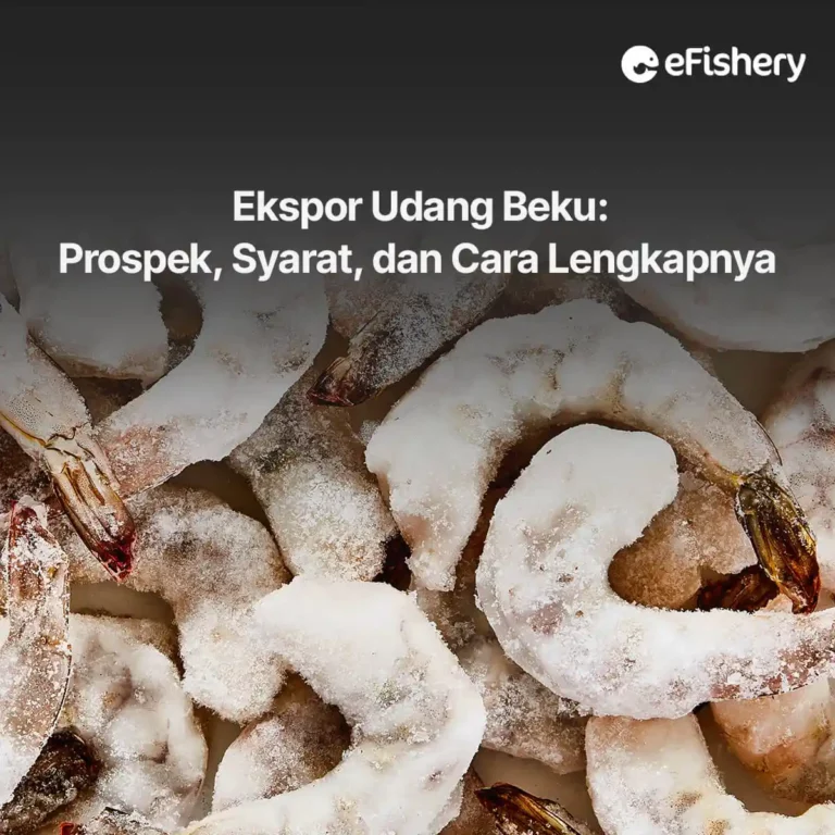 ekspor udang beku