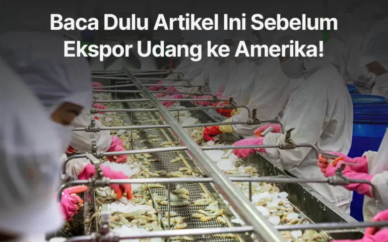 ekspor udang ke amerika