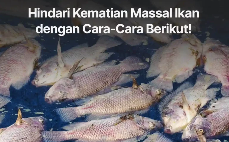 kematian massal ikan