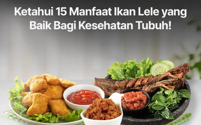 manfaat ikan lele