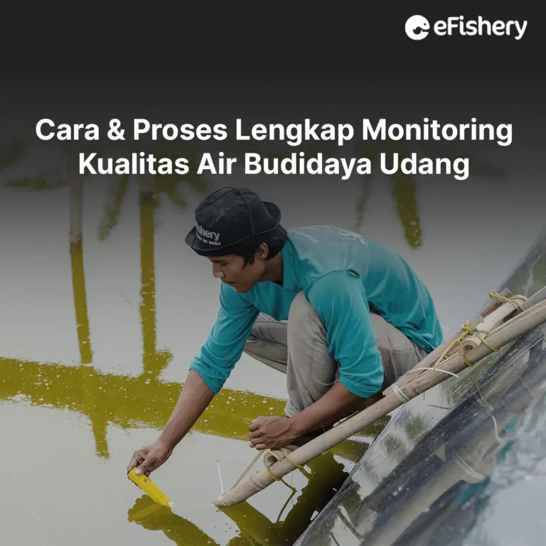 monitoring kualitas air