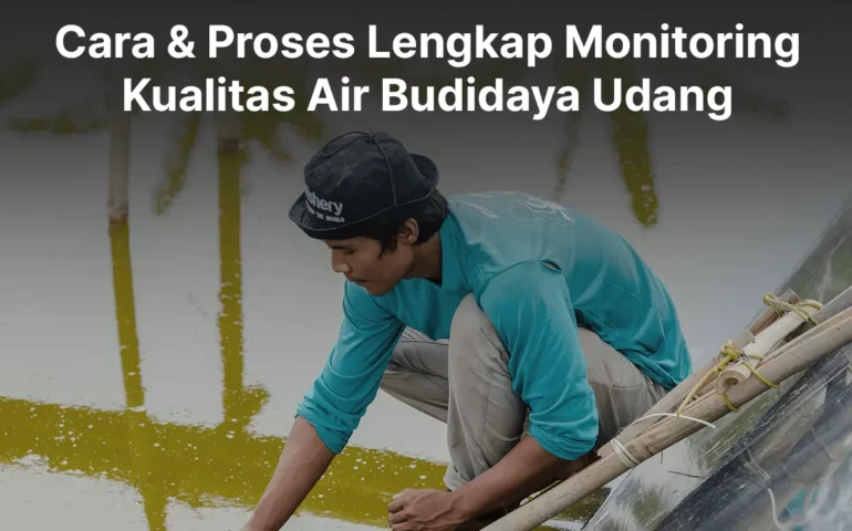 monitoring kualitas air