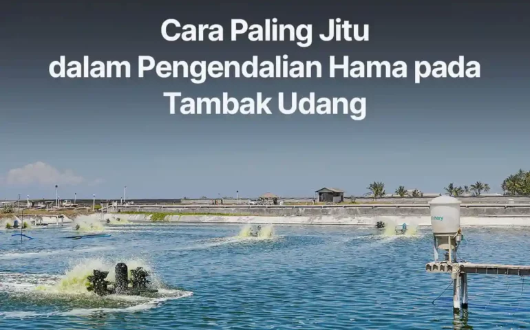 pengendalian hama pada tambak udang