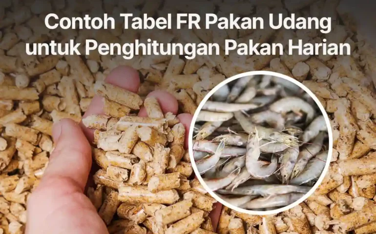 tabel fr pakan udang