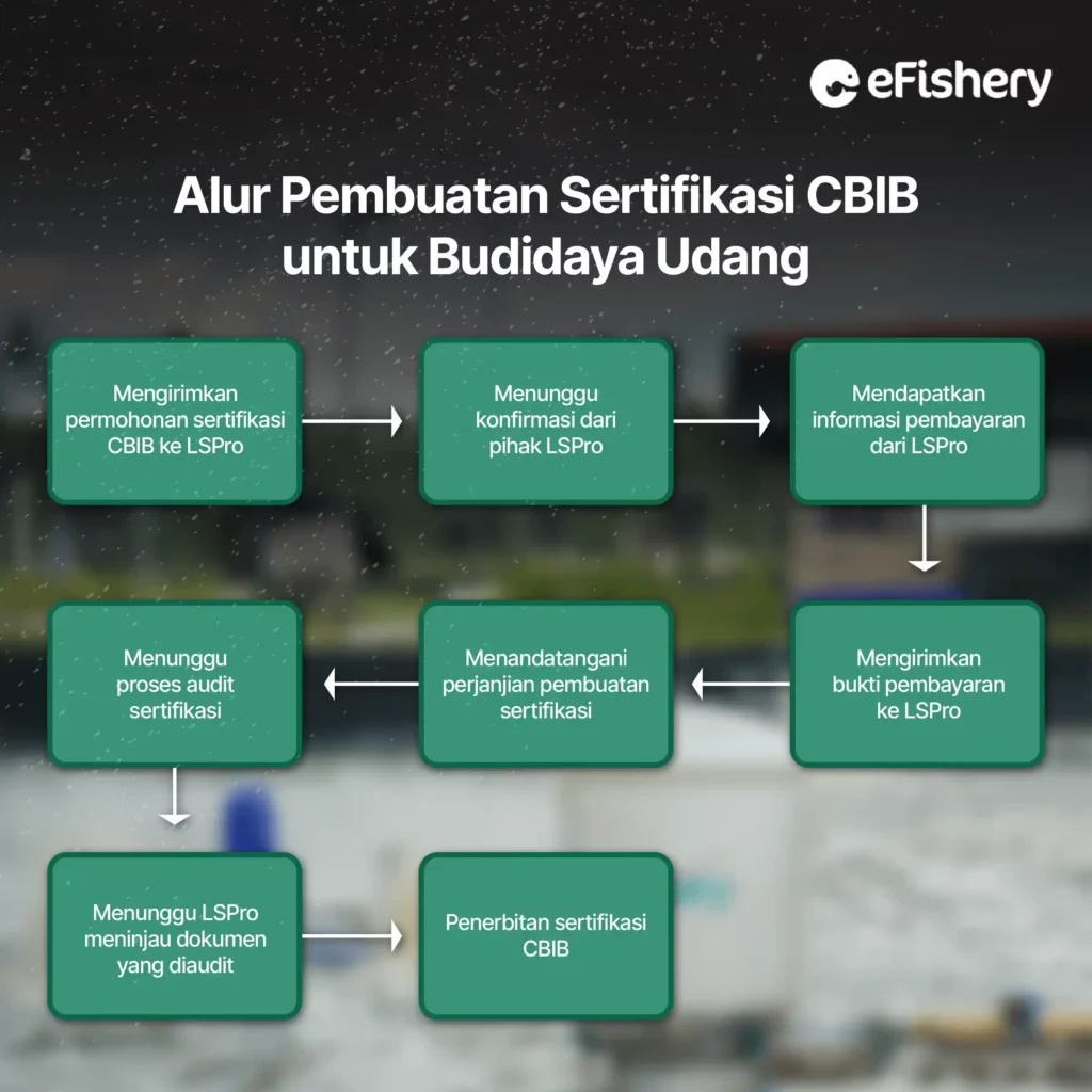 alur pembuatan sertifikasi cbib untuk budidaya udang