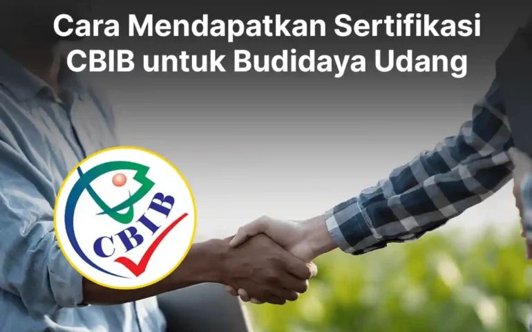 cara mendapatkan sertifikasi cbib untuk budidaya udang