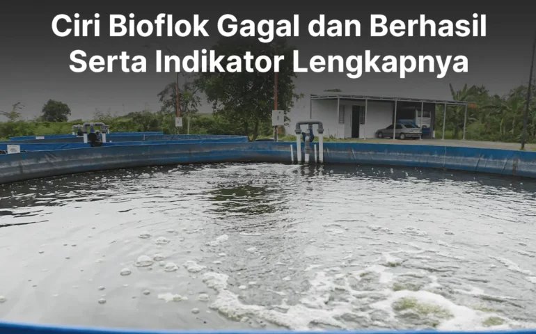 ciri bioflok gagal