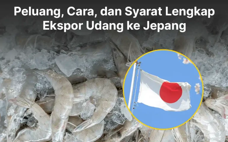 ekspor udang ke jepang