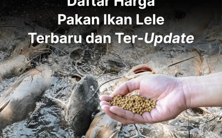 harga pakan lele