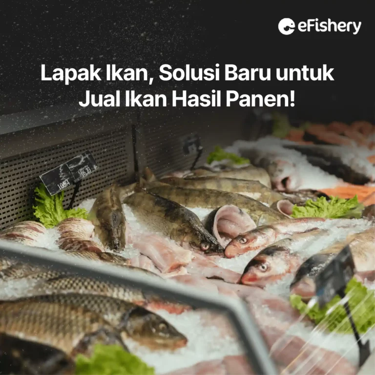 jual hasil panen di lapak ikan