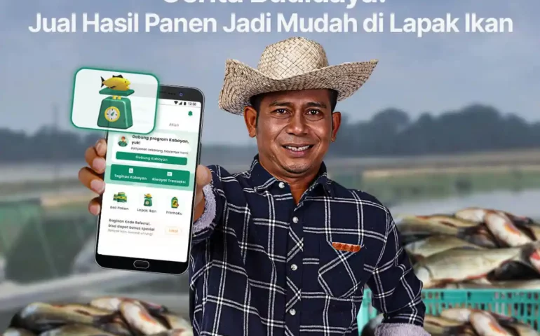 cerita budidaya jual hasil panen di lapak ikan