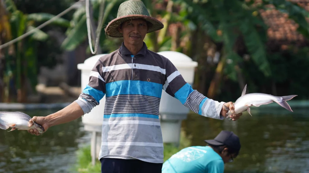 petambak memegang ikan patin