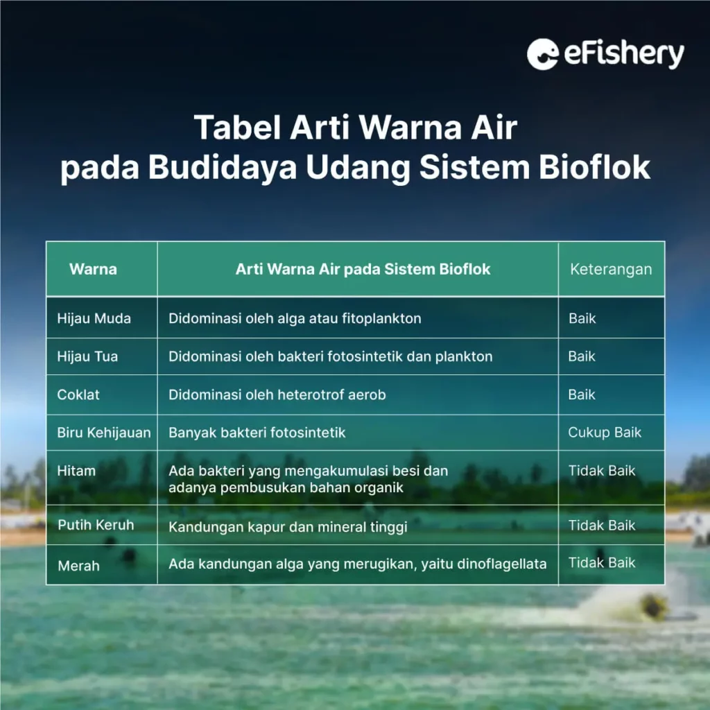 tabel arti warna air pada budidaya udang sistem bioflok