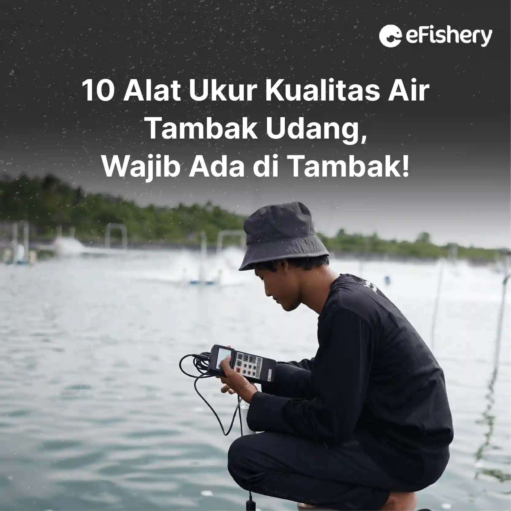 alat ukur kualitas air tambak udang