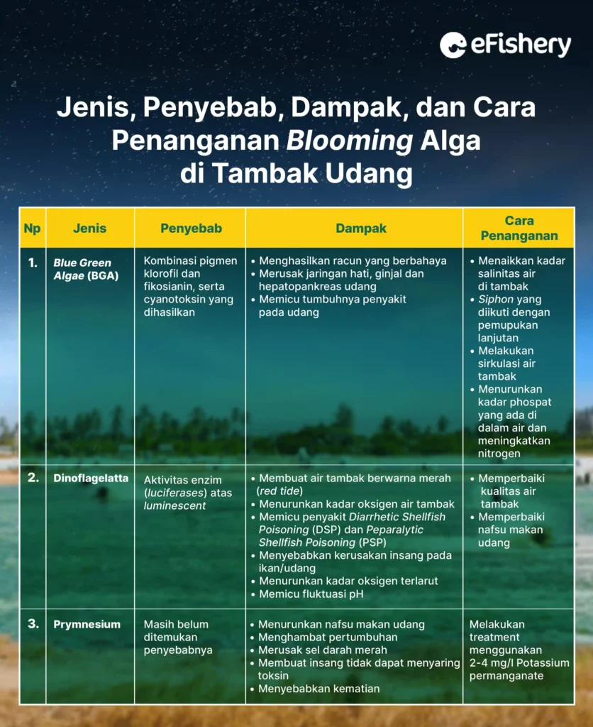 jenis, penyebab, dampak, dan cara penanganan blooming alga di tambak udang