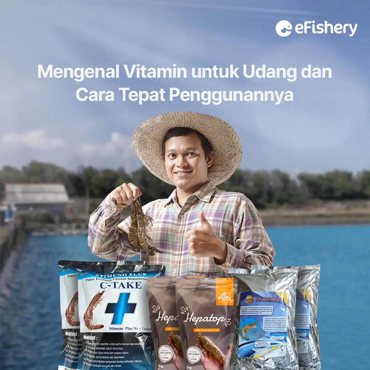 mengenal vitamin untuk udang dan cara tepat penggunaannya