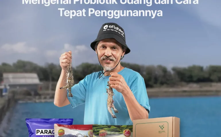 mengenal probiotik udang dan cara tepat penggunaannya