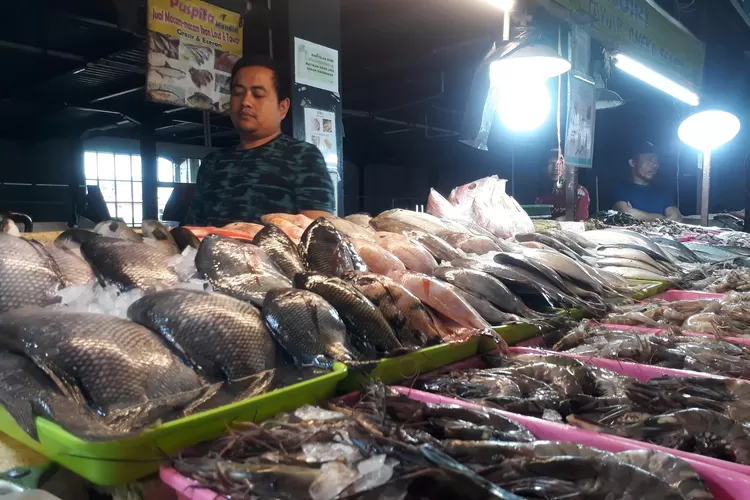 beli ikan hari biasa