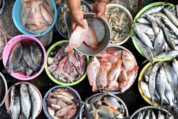 buat daftar beli ikan