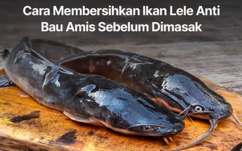 cara membersihkan ikan lele