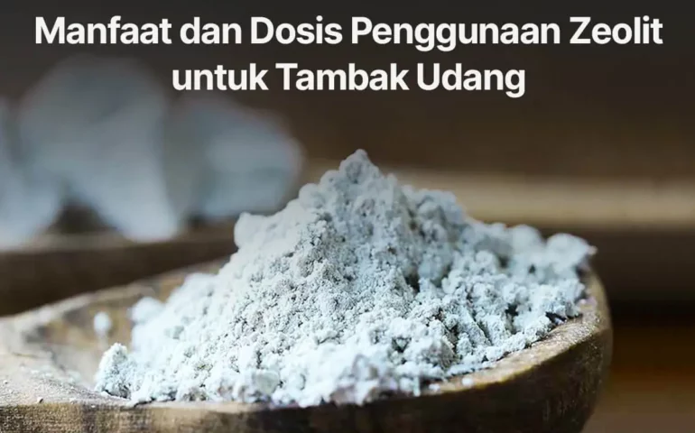 manfaat dan dosis penggunaan zeolit untuk tambak udang