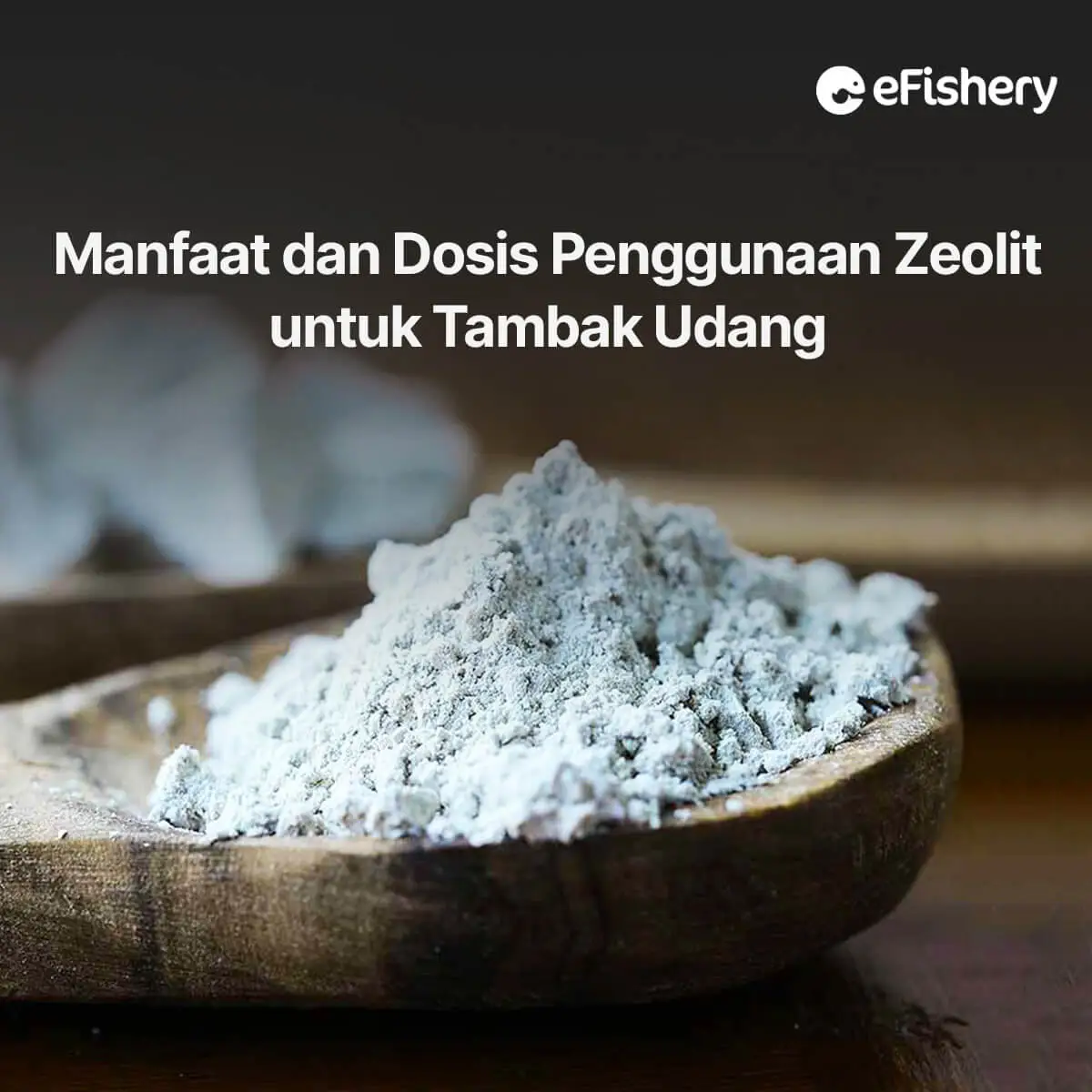 manfaat dan dosis penggunaan zeolit untuk tambak udang