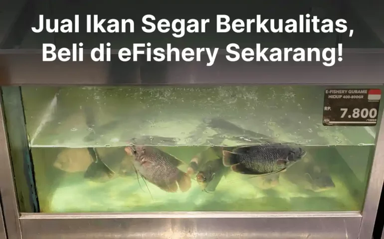 jual ikan segar