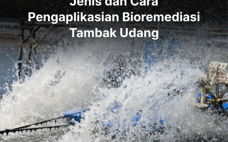 jenis dan cara pengaplikasian bioremediasi tambak udang