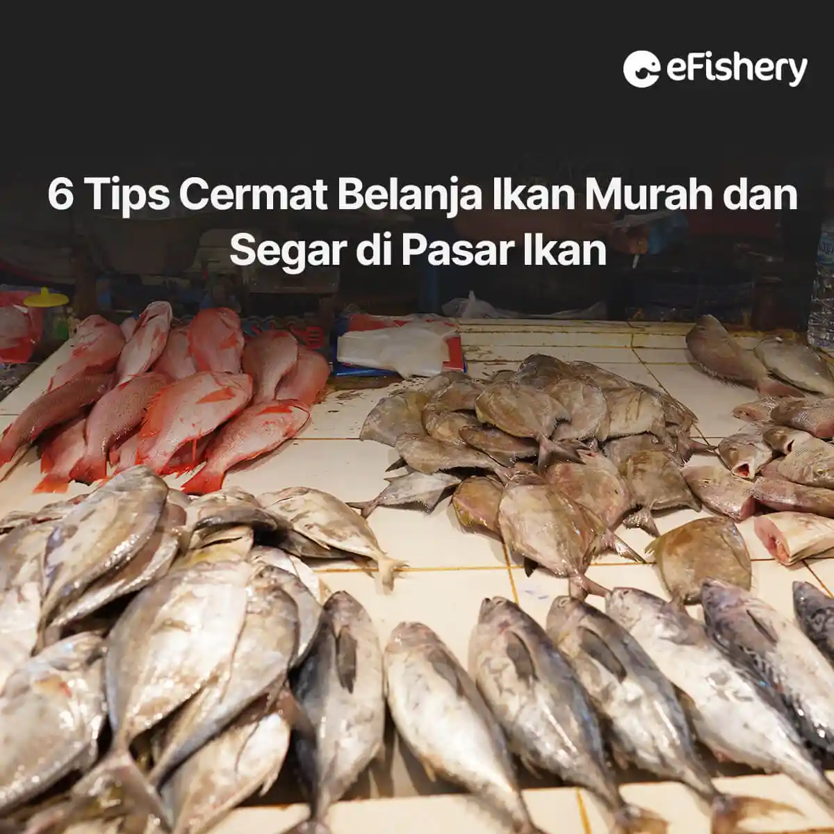 pasar ikan