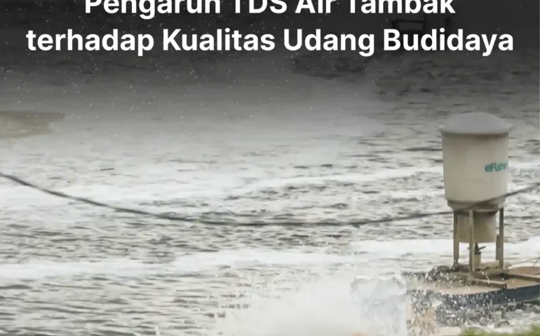 pengaruh tds air tambak udang terhadap kualitas udang budidaya