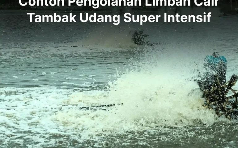 contoh pengolahan limbah cair tambak udang super intensif