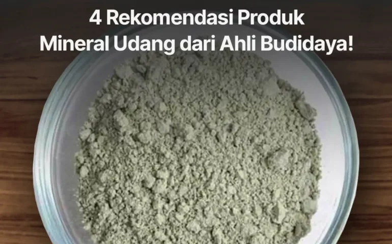 rekomendasi produk mineral udang dari ahli budidaya