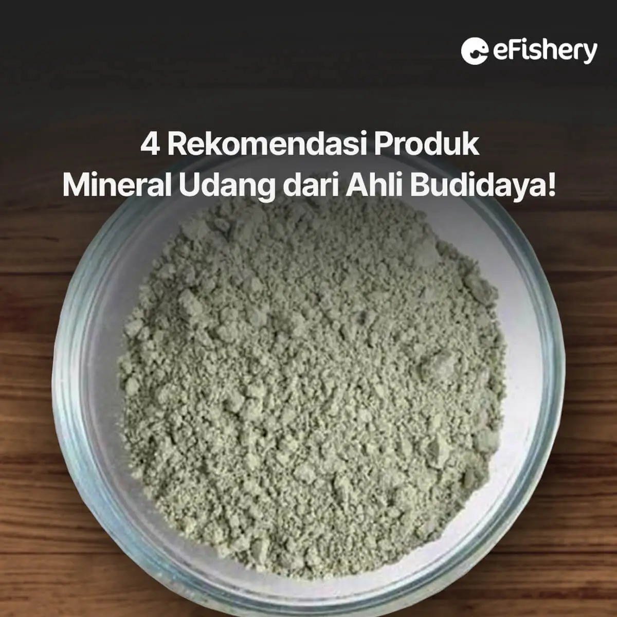 rekomendasi produk mineral udang dari ahli budidaya