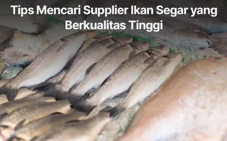 supplier ikan segar