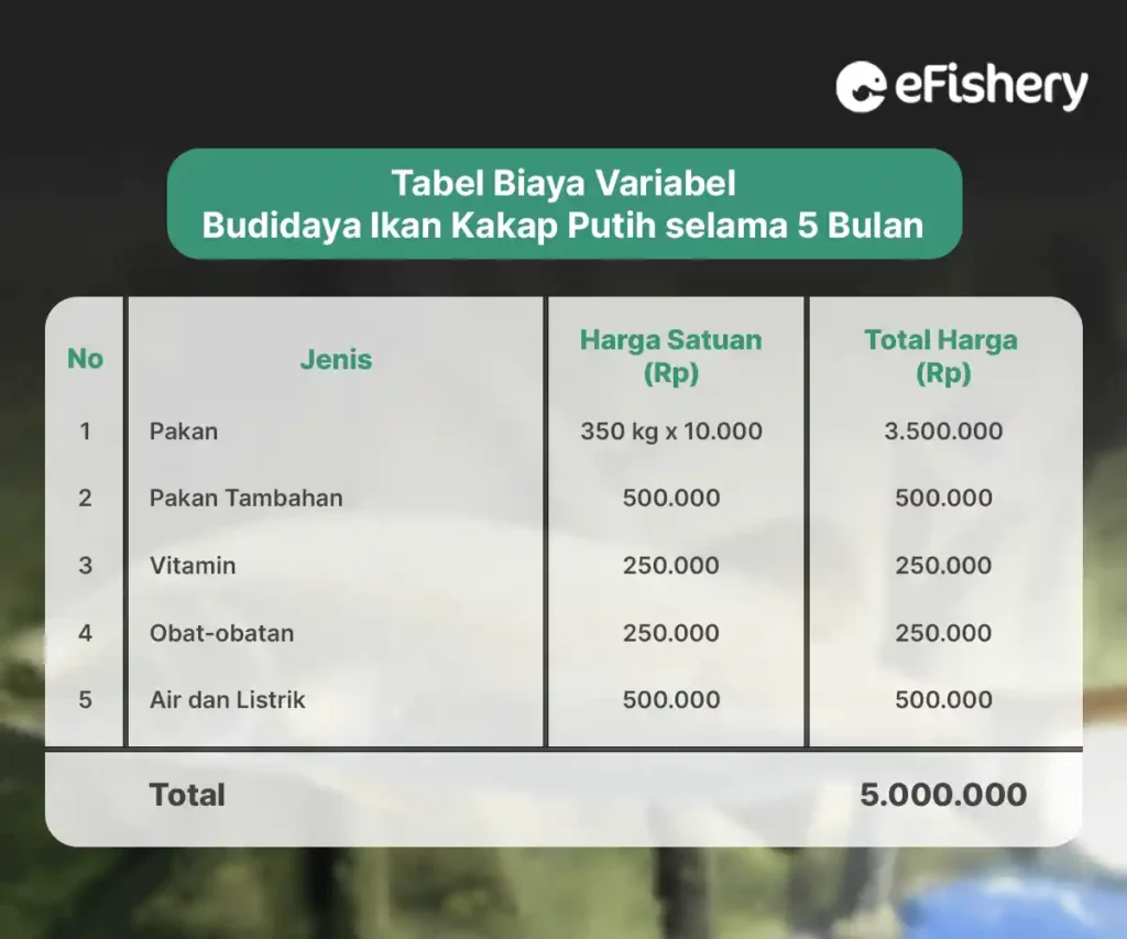 tabel biaya variabel budidaya ikan kakap putih