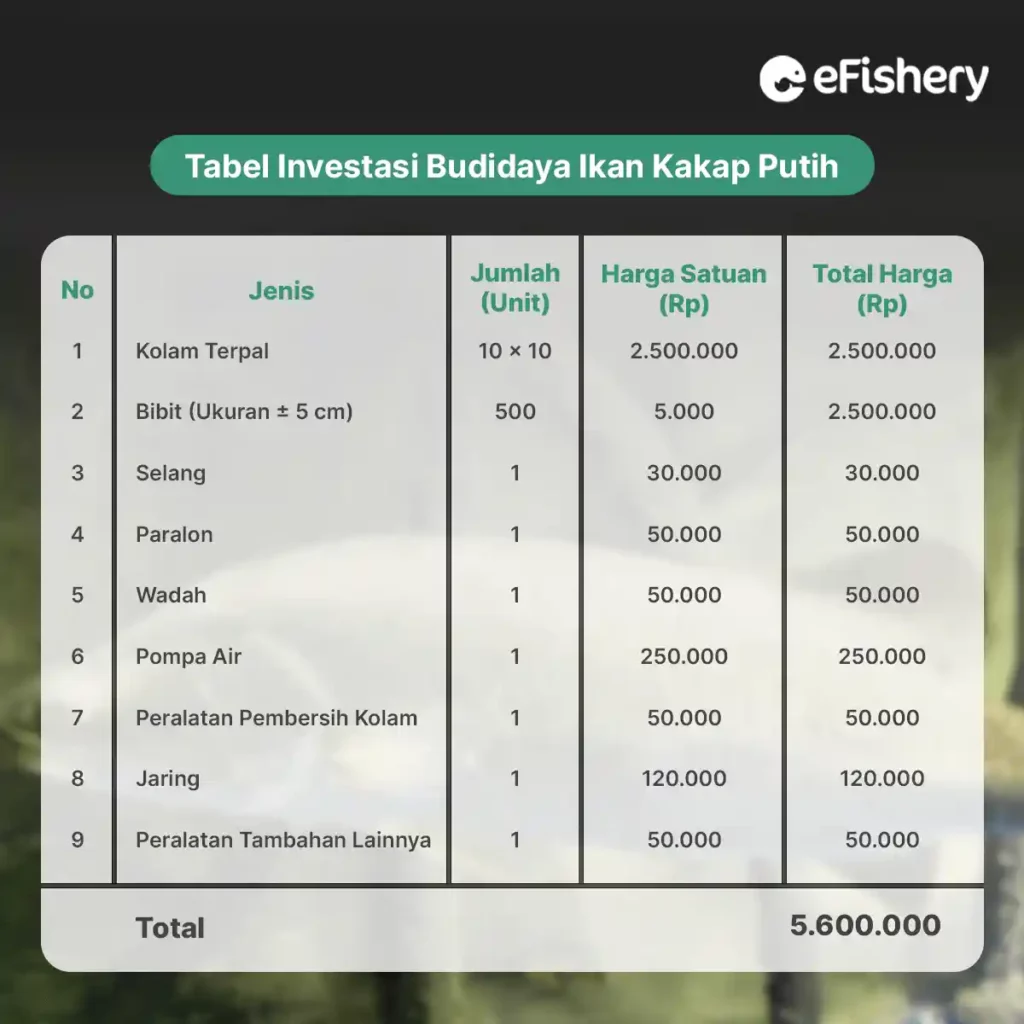 tabel investasi budidaya ikan kakap putih