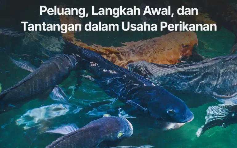 usaha perikanan