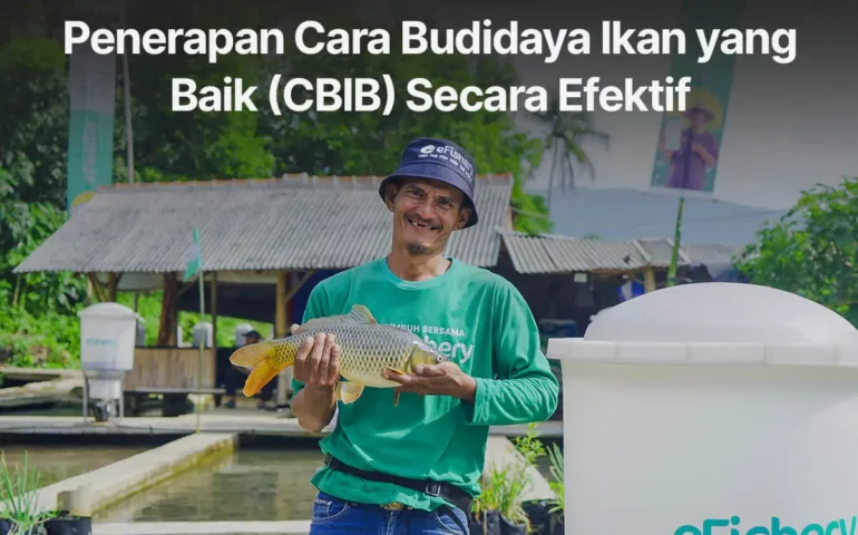 cara budidaya ikan yang baik cbib