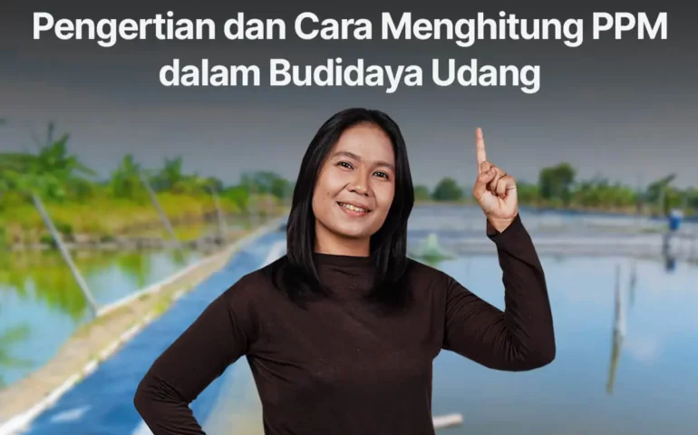 pengertian dan cara menghitung ppm dalam budidaya udang