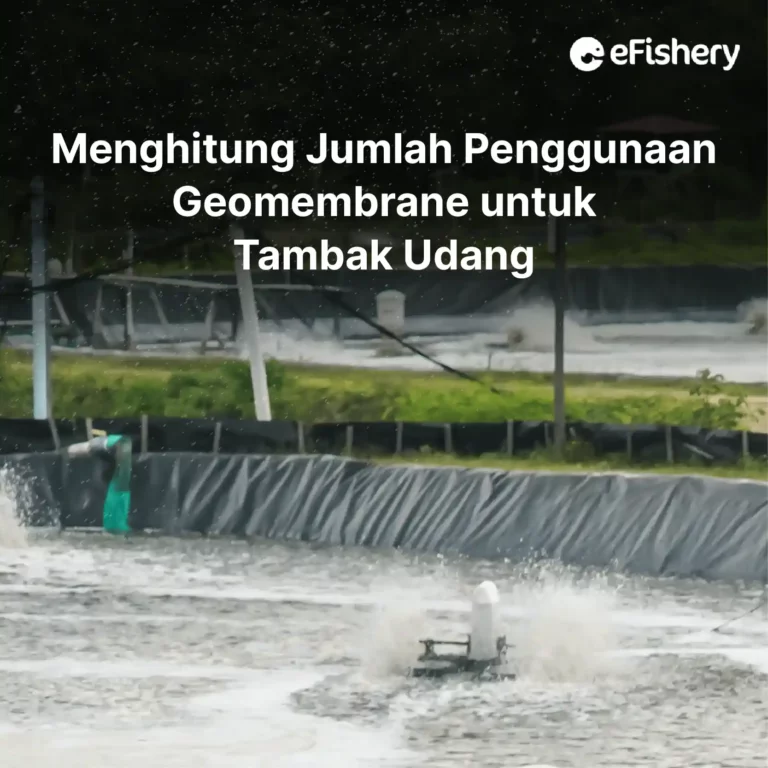 jumlah penggunaan geomembrane untuk tambak udang