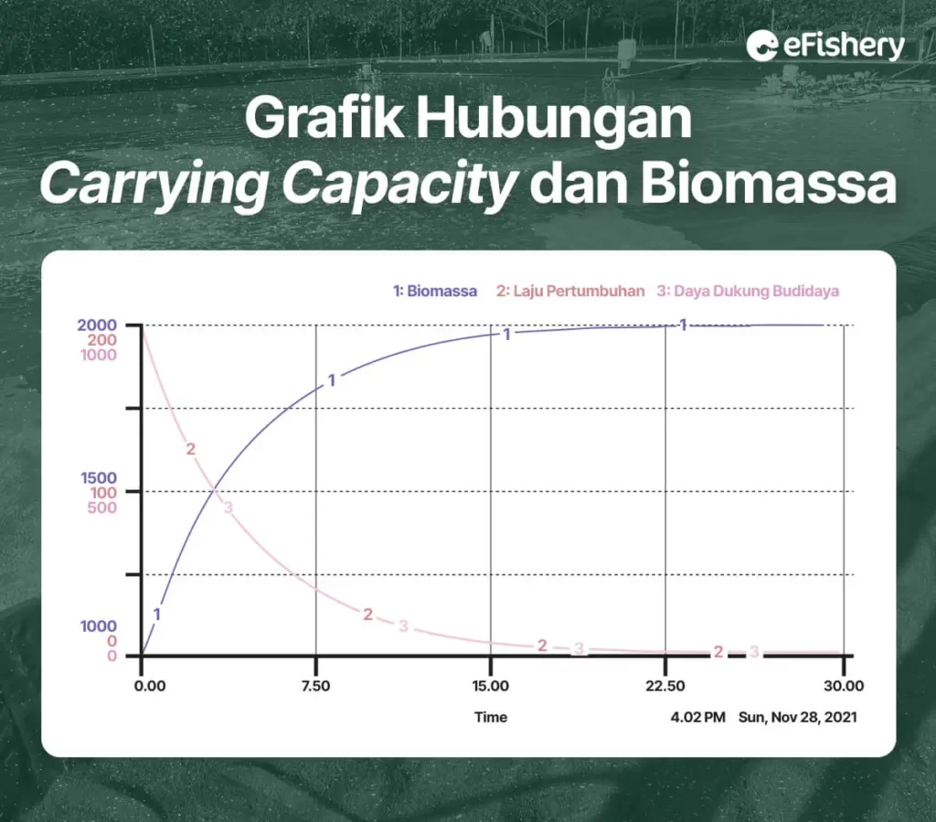 grafik hubungan carrying capacity dan biomassa 